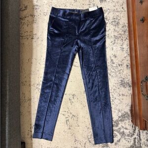 Elizabeth and James State Blue Velvet Trousers